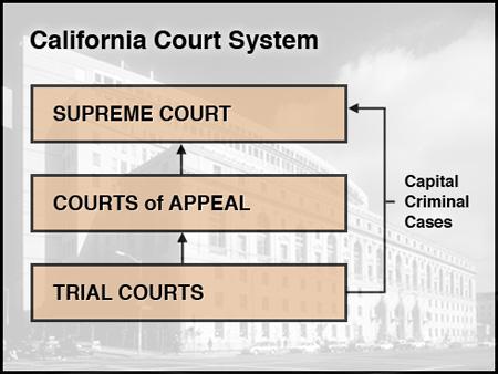 Appellate Process Chart